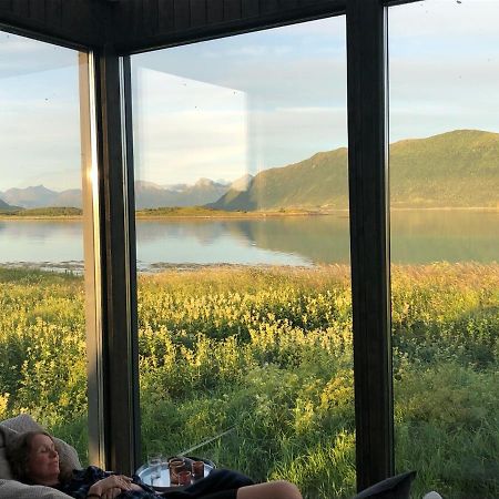 Steigen Lodge Tiny House エクステリア 写真